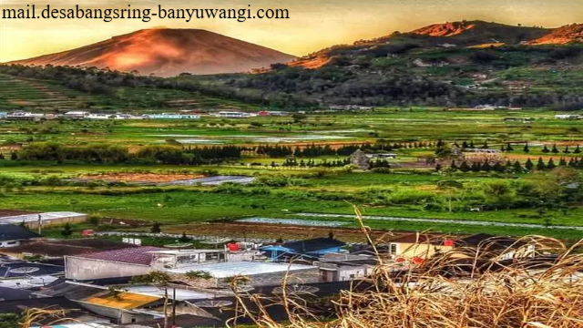 Desa Wisata Kandri Pesona Alam dan Tradisi yang Mengagumkan